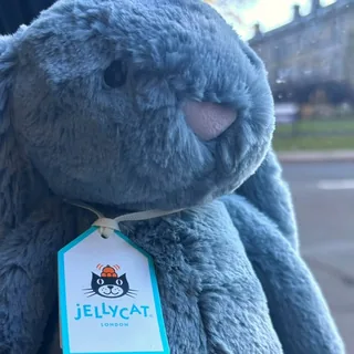 Jellycat Bashful Dusky Blue Bunny in blue-grey with its swing tag, photographed by Plushie Finds